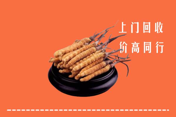 高价求购：竹山县回收散虫草