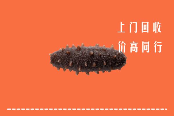 竹山县回收海参