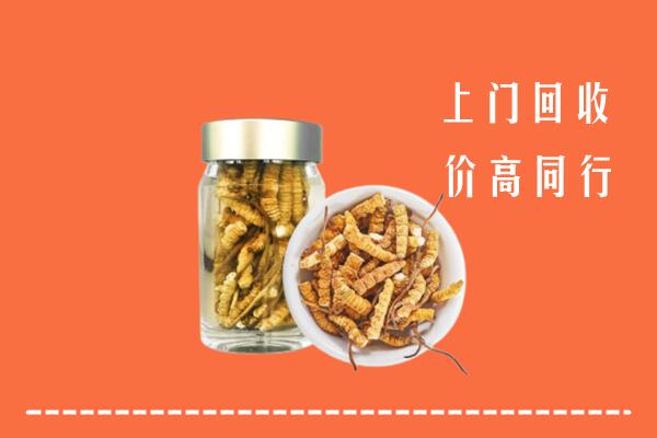 竹山县回收冬虫夏草