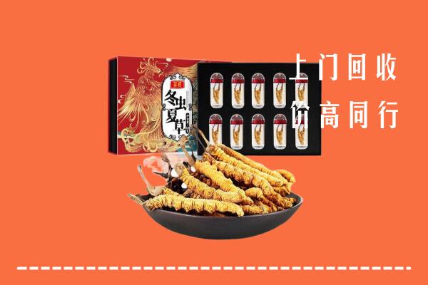 竹山县回收虫草